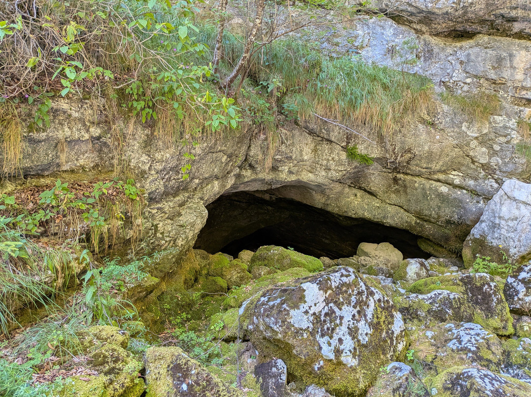 Grotte di CastelloTesino-Castello Tesino必去景点