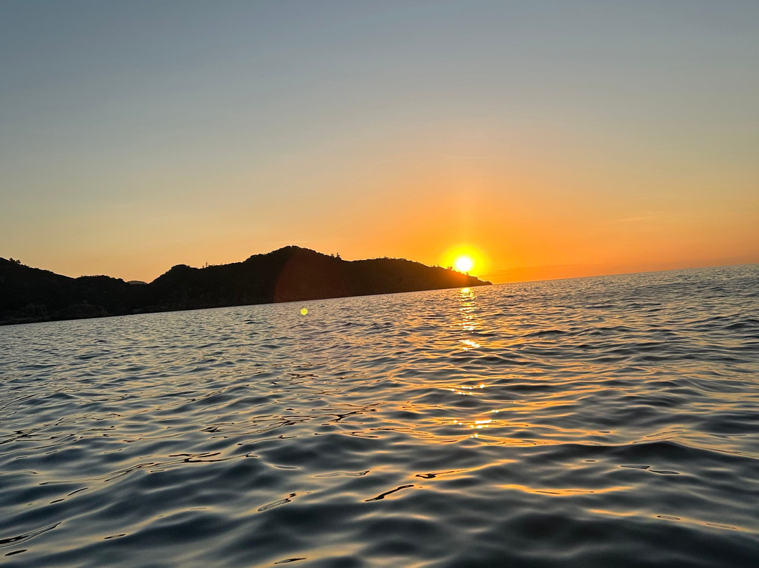 Aquascene Magnetic Island-Magnetic Island必去景点