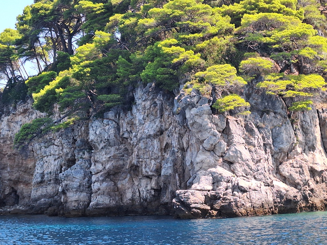 Galeb Boat Tours-Kolocep Island必去景点