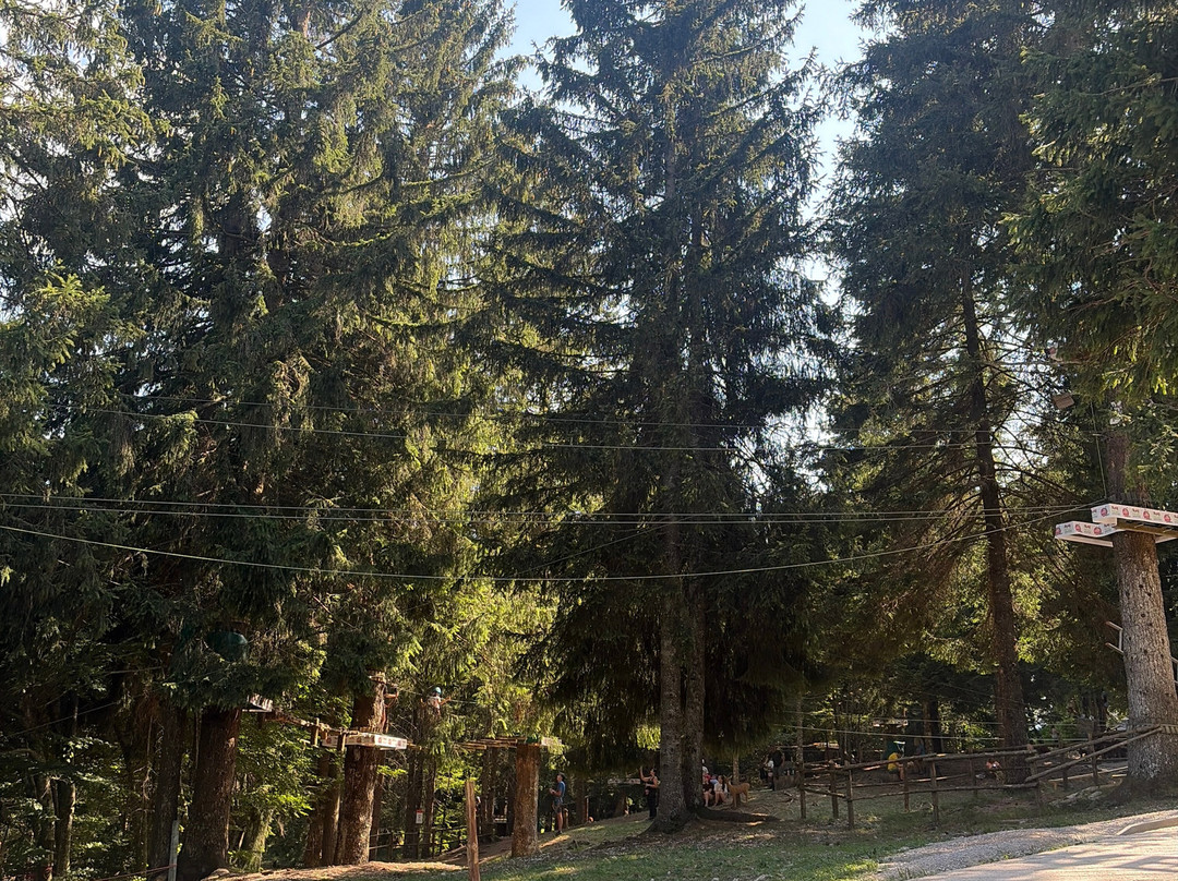 Forest Park-莫尔韦诺必去景点