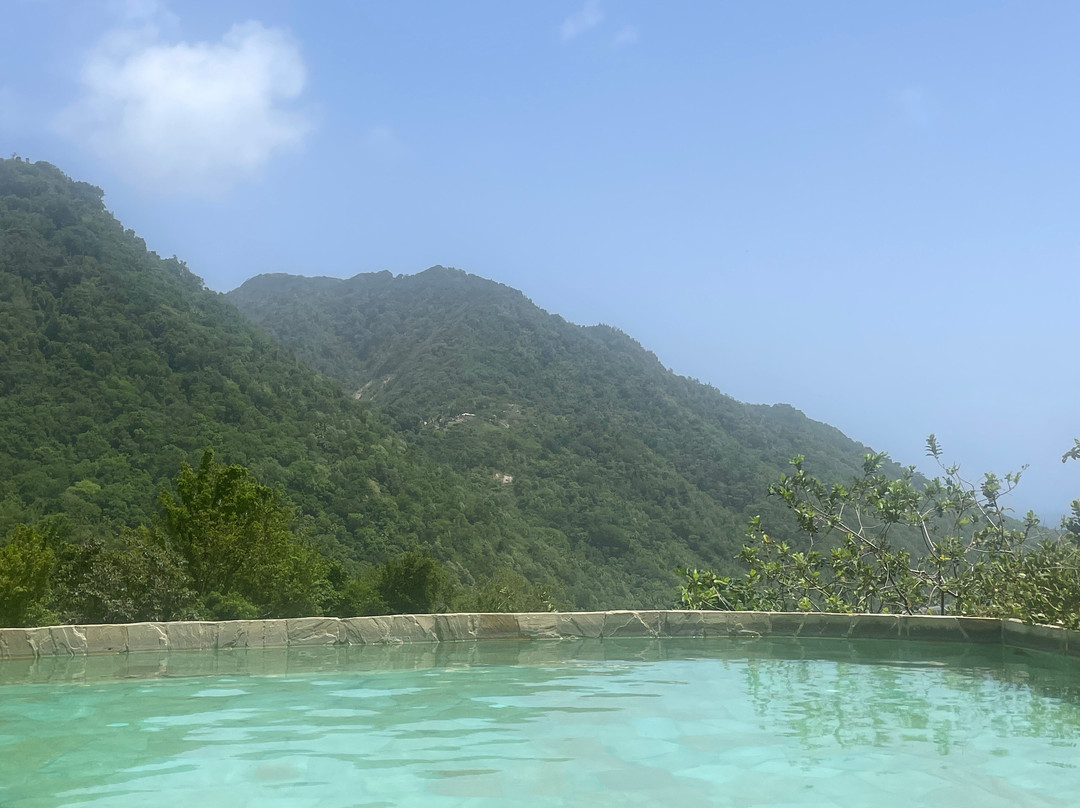 Jungle Bay Dominica主图
