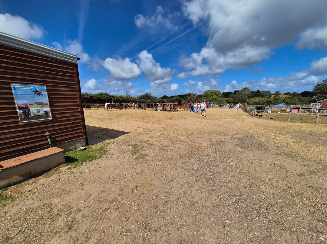 Hillside Shire Horse Sanctuary-West Runton必去景点