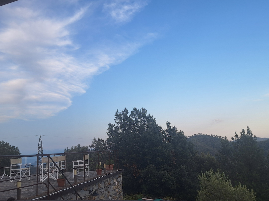 Agriturismo degli Olivi主图