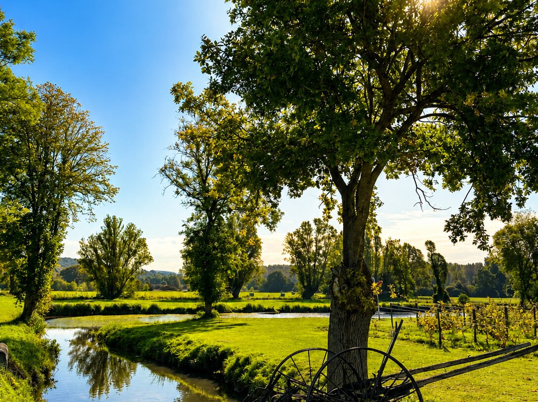 Vignoble Château Bénéhard-Chahaignes必去景点