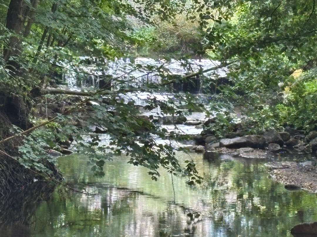 Parc Naturel Régional du Pilat-Pelussin必去景点