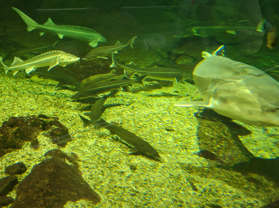 Tisza-tavi Okocentrum-Poroszlo必去景点