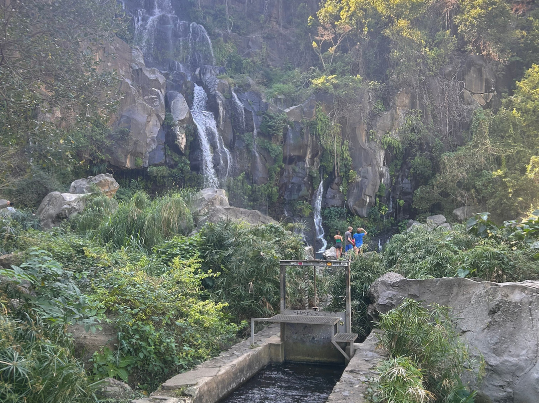 Bassin des Aigrettes-圣吉尔莱班必去景点