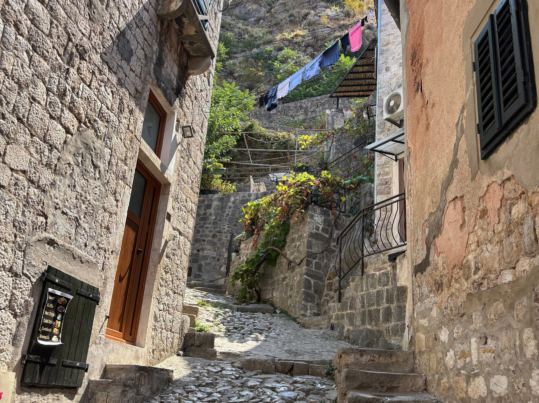 Kotor Old Town-科托尔必去景点