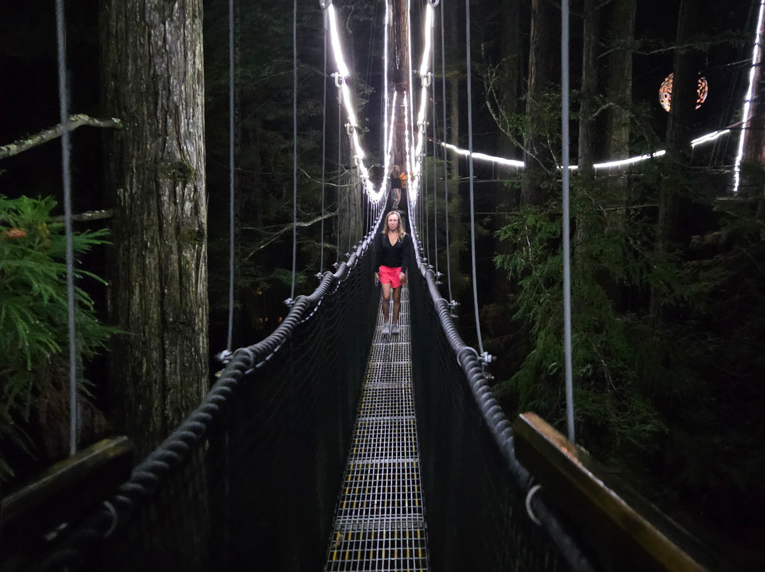 Redwoods Treewalk-罗托鲁瓦必去景点
