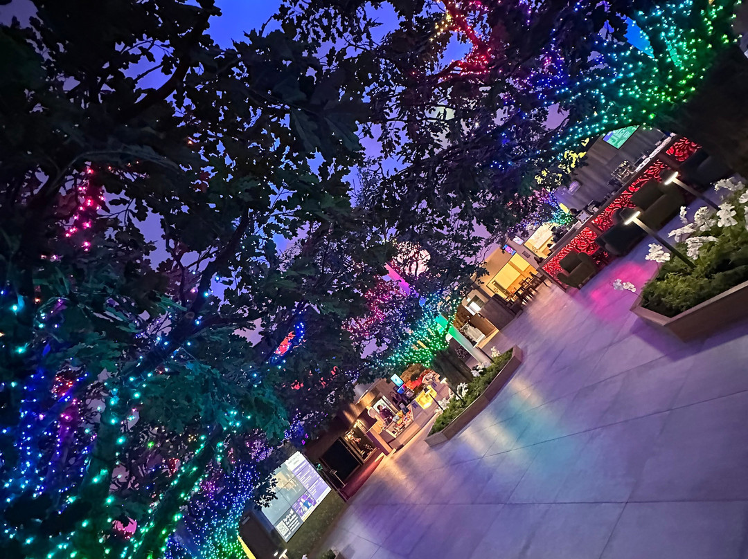 The Flower Bowl Entertainment Centre-Barton必去景点