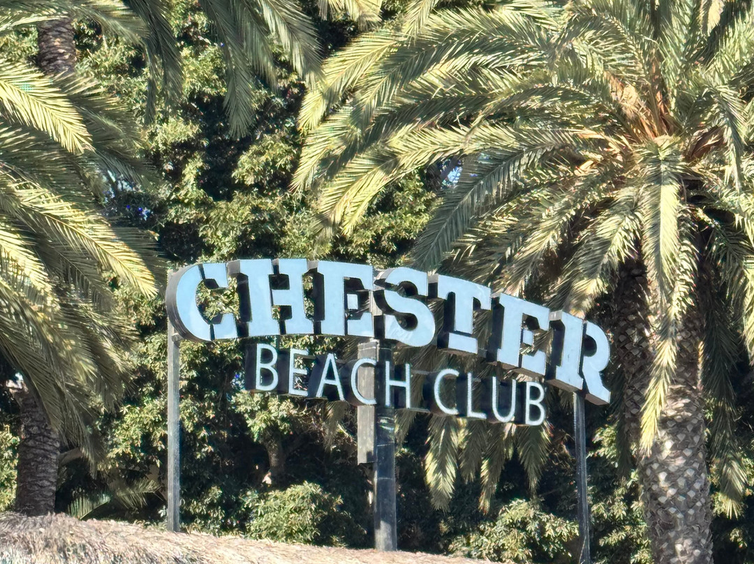 Chester Beach Club-莫干山必去景点
