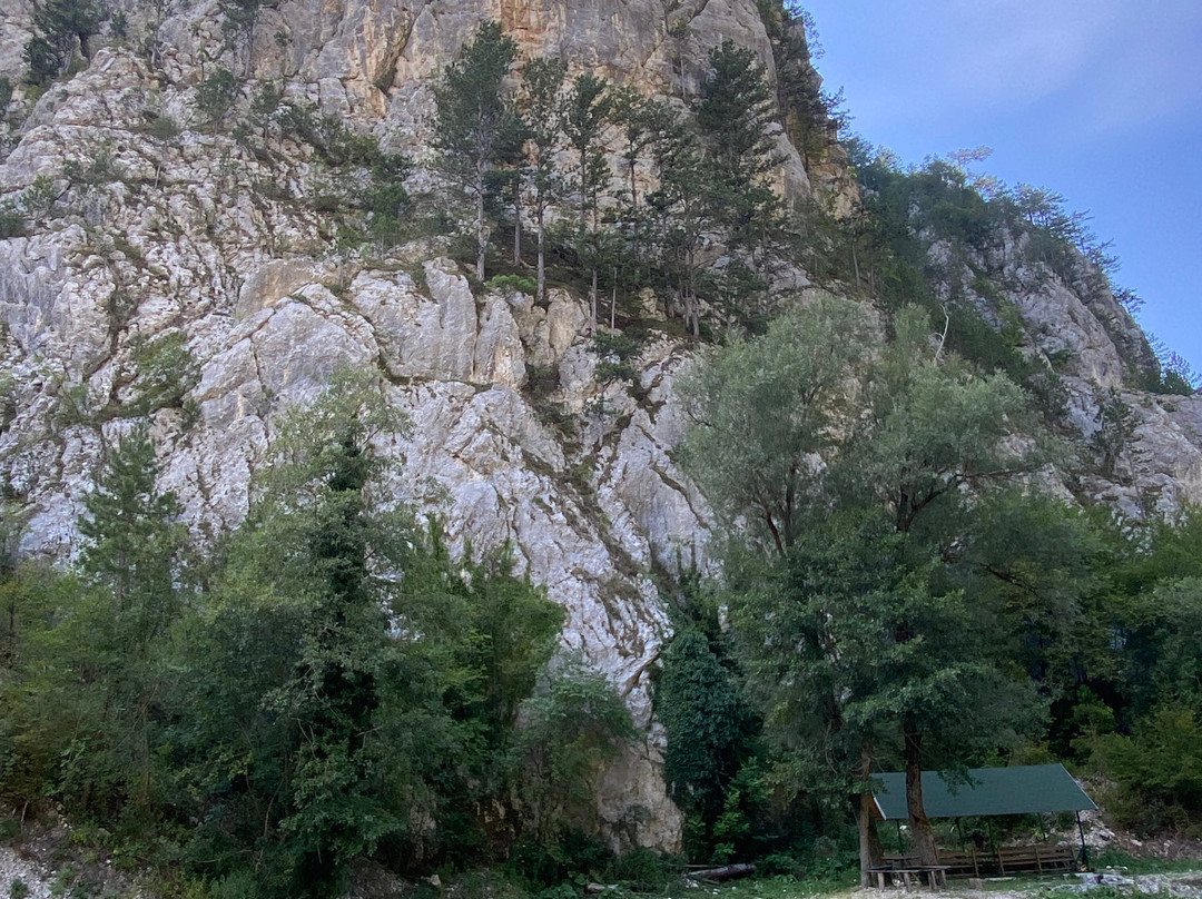 Nature Park Mokra Gora-Mokra Gora必去景点