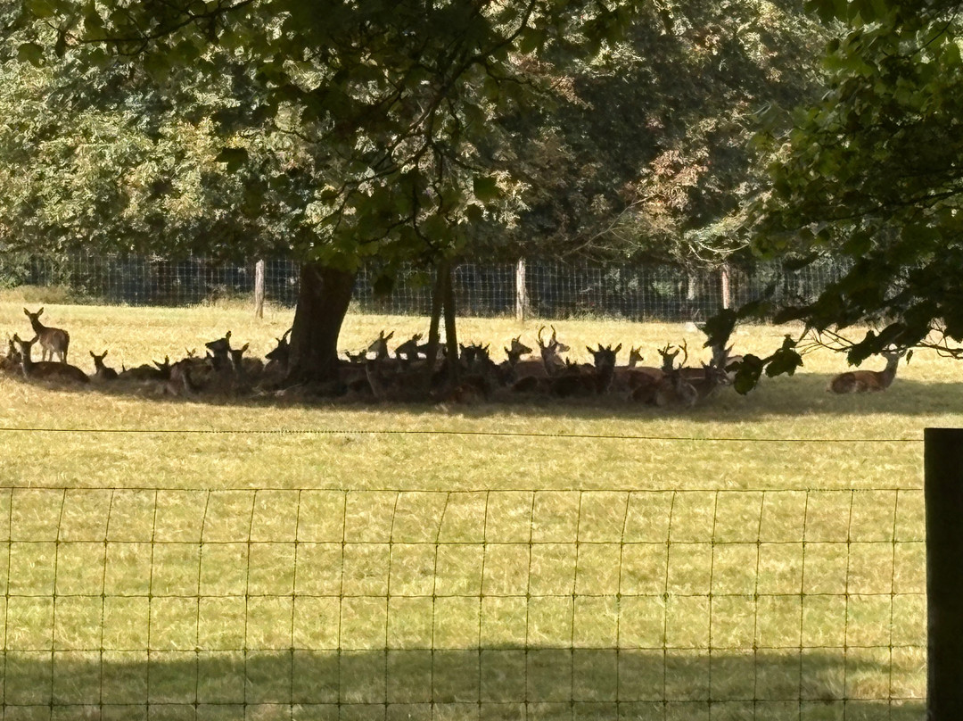 Doneraile Court-Doneraile必去景点