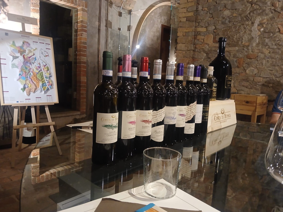 Costa di Bussia - Tenuta Arnulfo-蒙福特-达尔巴必去景点