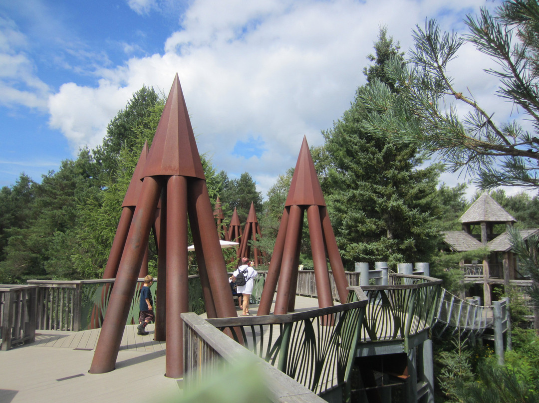 The Wild Center-Tupper Lake必去景点