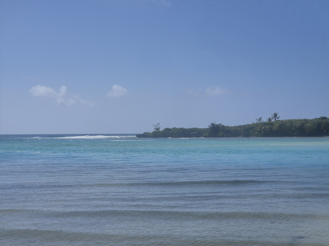 Raro Mountain Safari Tour-拉罗汤加必去景点