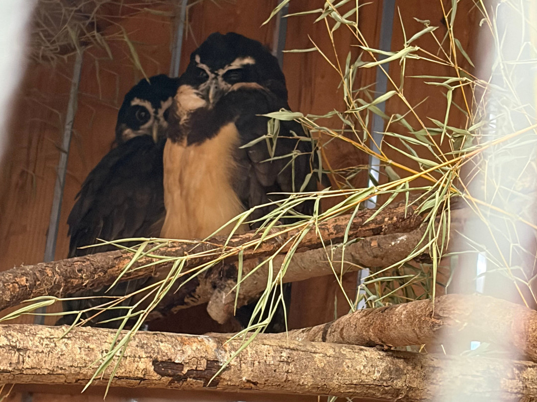 Wild Zoological Park-Bobbington必去景点