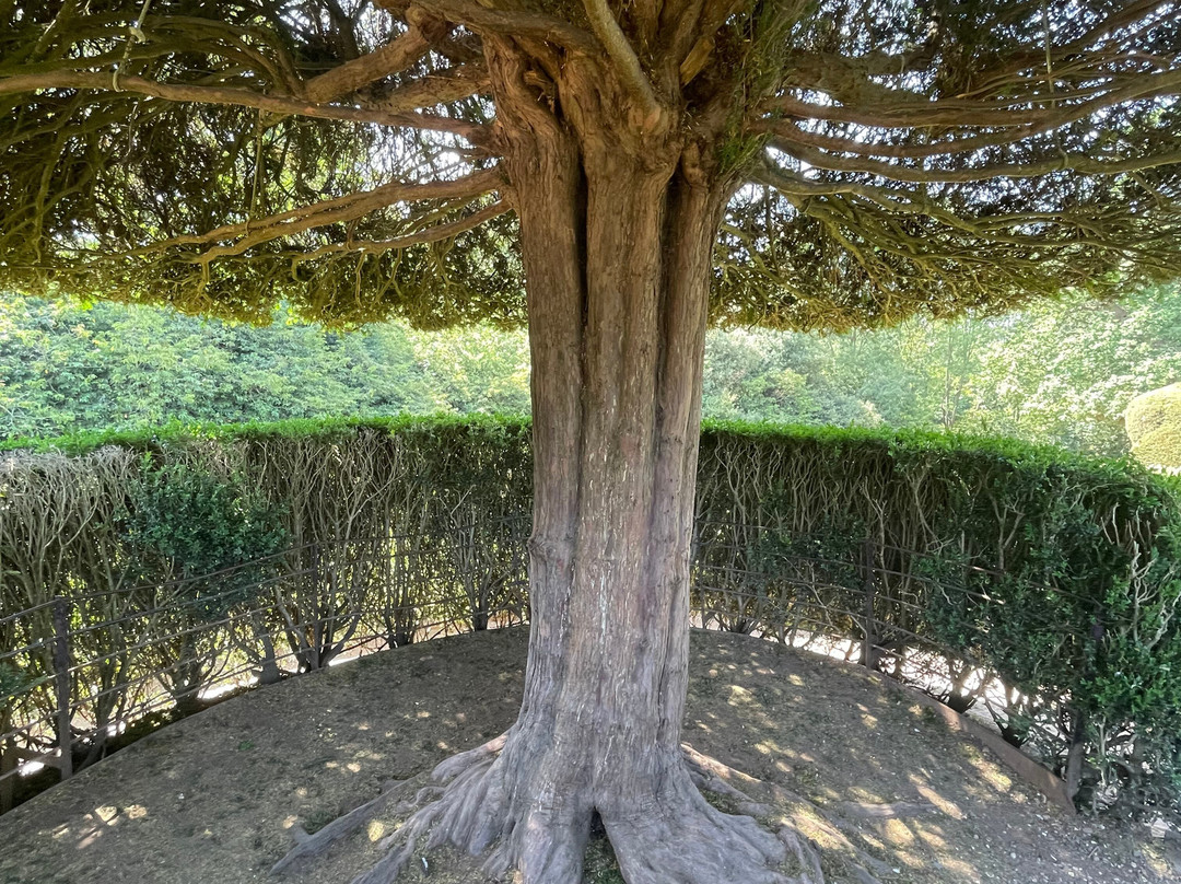 Packwood House-Lapworth必去景点