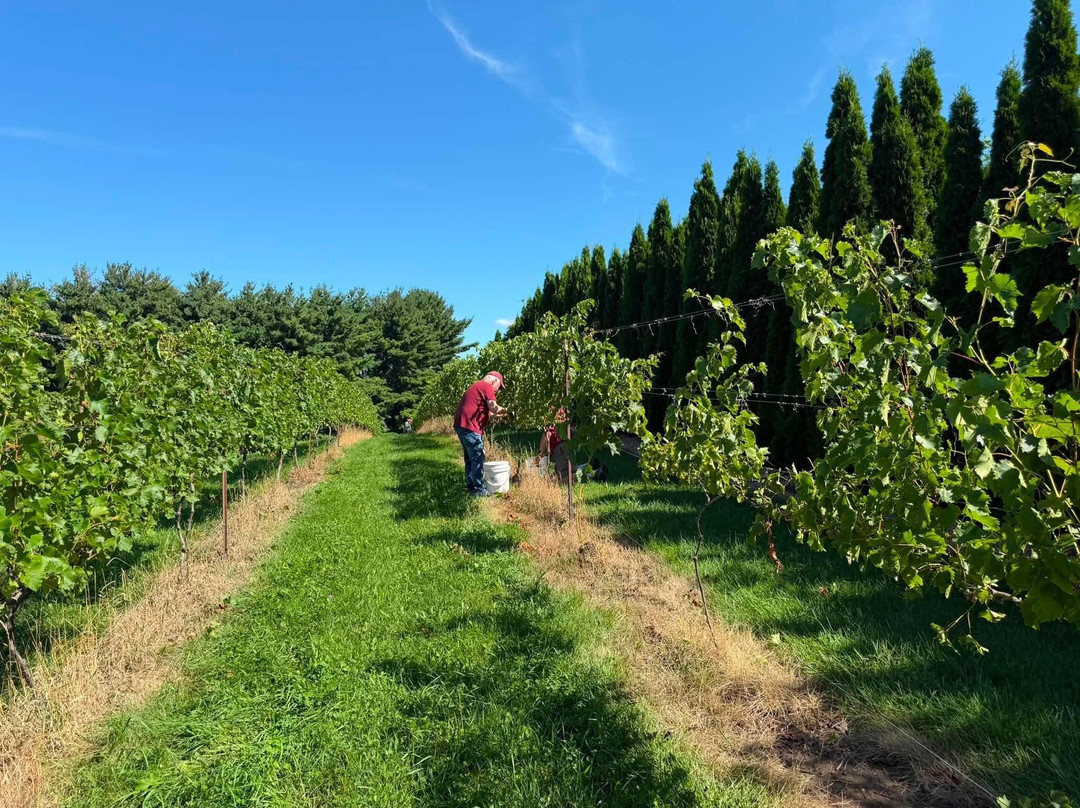 Drumlin Ridge Winery-Waunakee必去景点