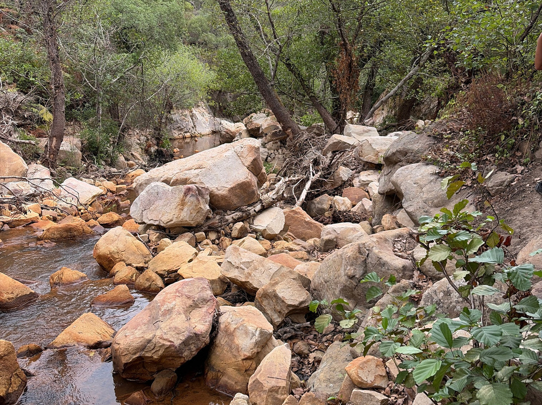 Sendero Rio de la Miel-阿尔赫西拉斯必去景点