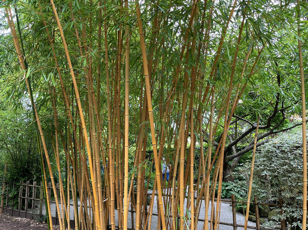 Barnsdale Gardens-奥克姆必去景点