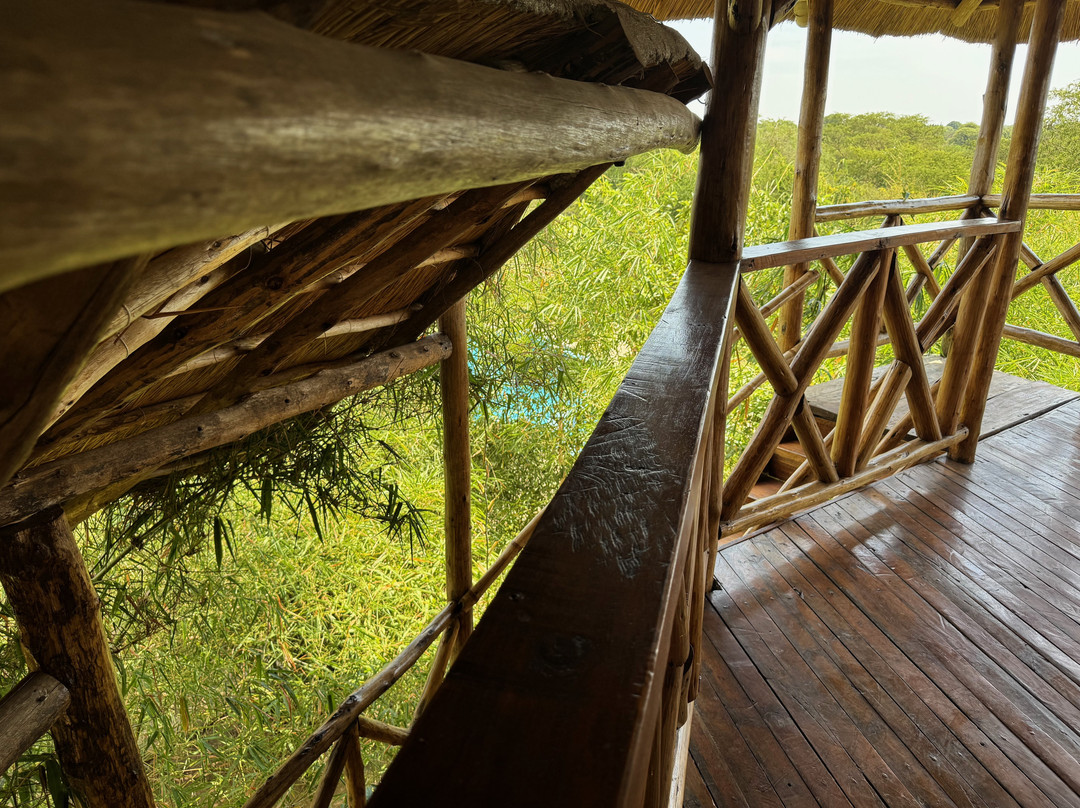 Murchison Falls Bamboo Village主图