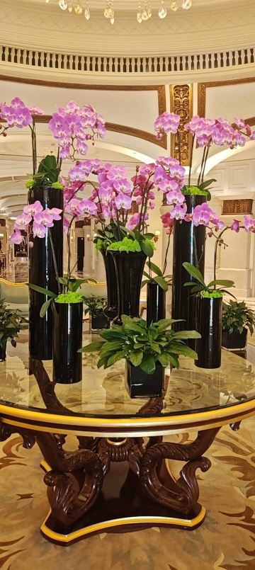 澳门励宫酒店-旅行者