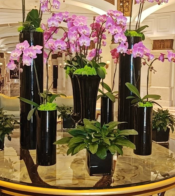 澳门励宫酒店主图