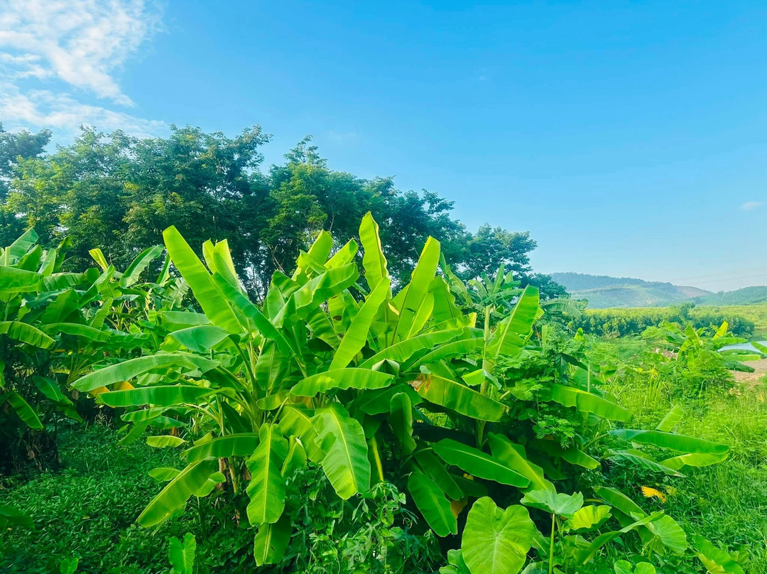 Dong Du Eco Farmstay-Nghia Thuan必去景点