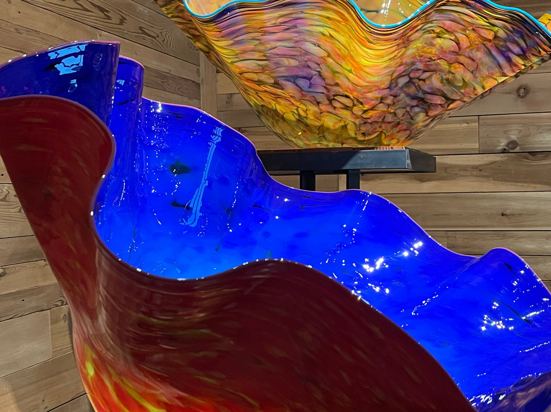 Chihuly Collection-圣彼德斯堡必去景点