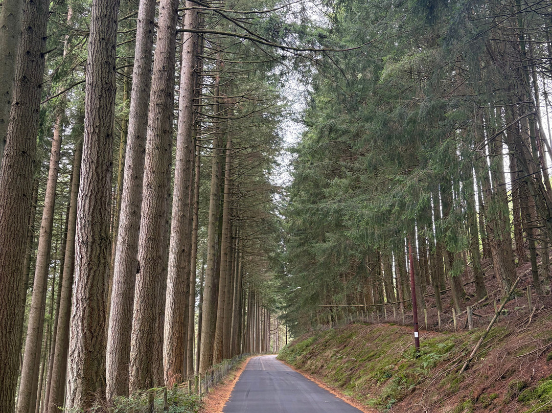 Elan Valley-Rhayader必去景点