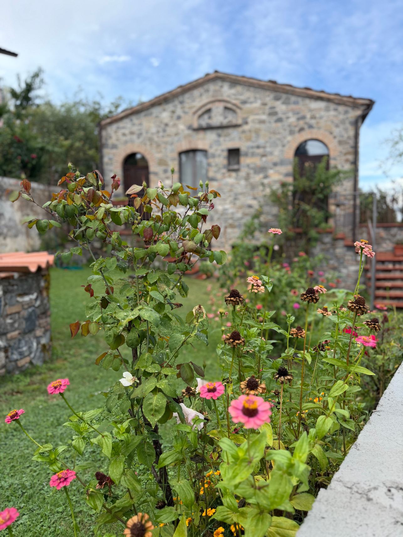 Residenza delle Rose-旅行者
