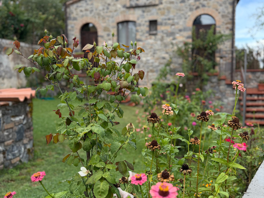 Residenza delle Rose主图