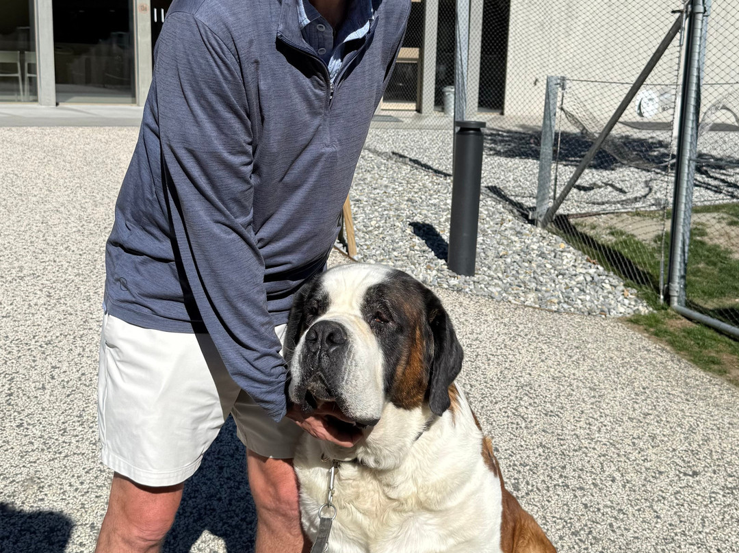 Barryland - Musée et chiens du St-Bernard-马蒂尼必去景点