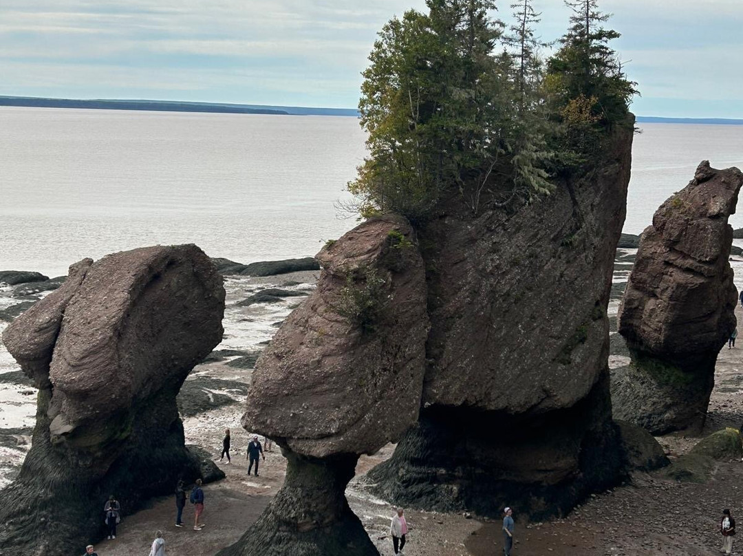 Hopewell Rocks-霍伯威尔角必去景点