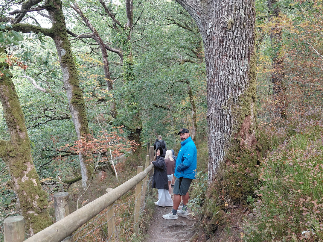 Conwy Falls-Betws-y-Coed必去景点