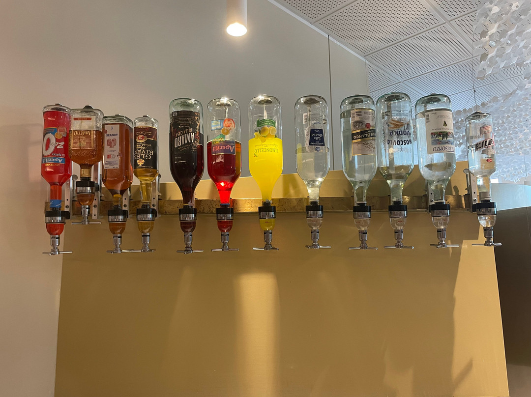 莱昂纳多达芬奇酒店主图
