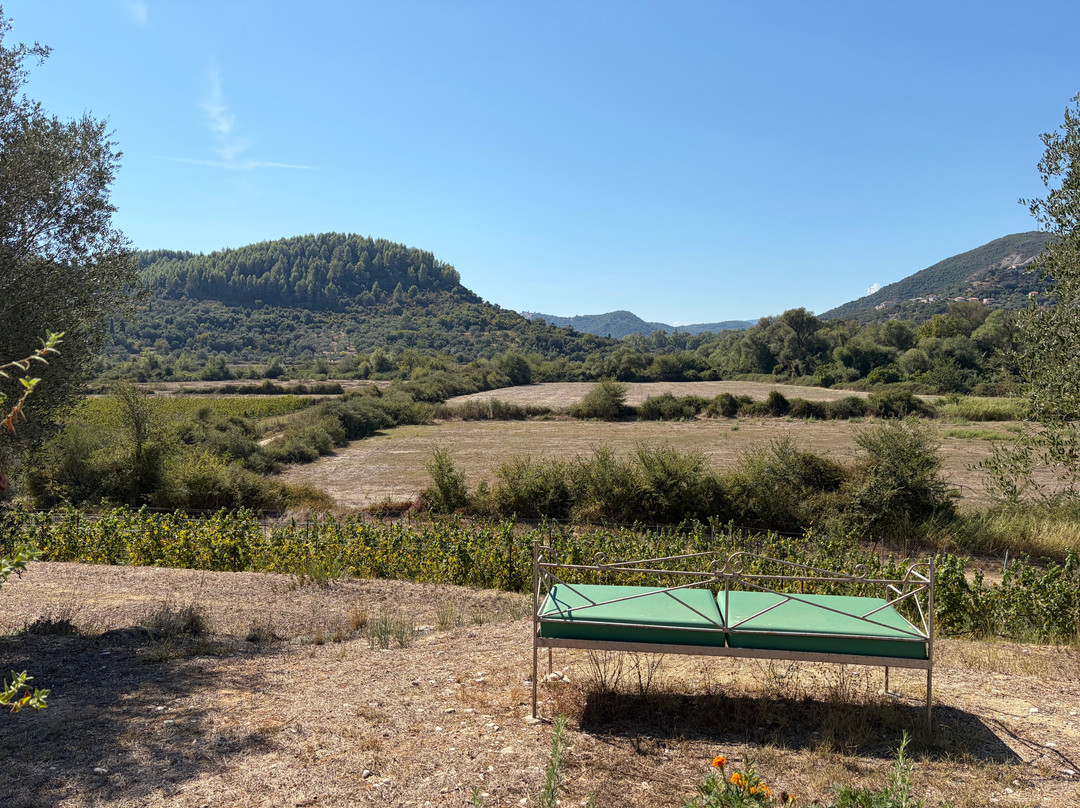 Zervas Winery-Igoumenitsa必去景点