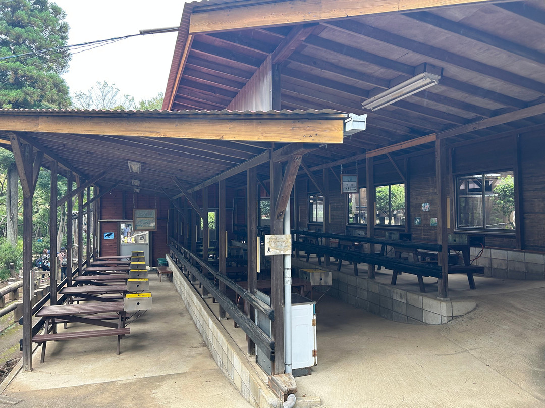 Arinomi Course-市川市必去景点