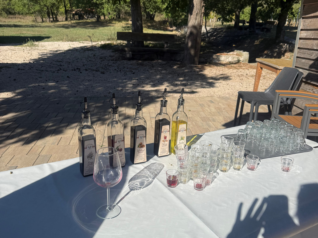 Winery Botaro-杜布罗夫尼克必去景点