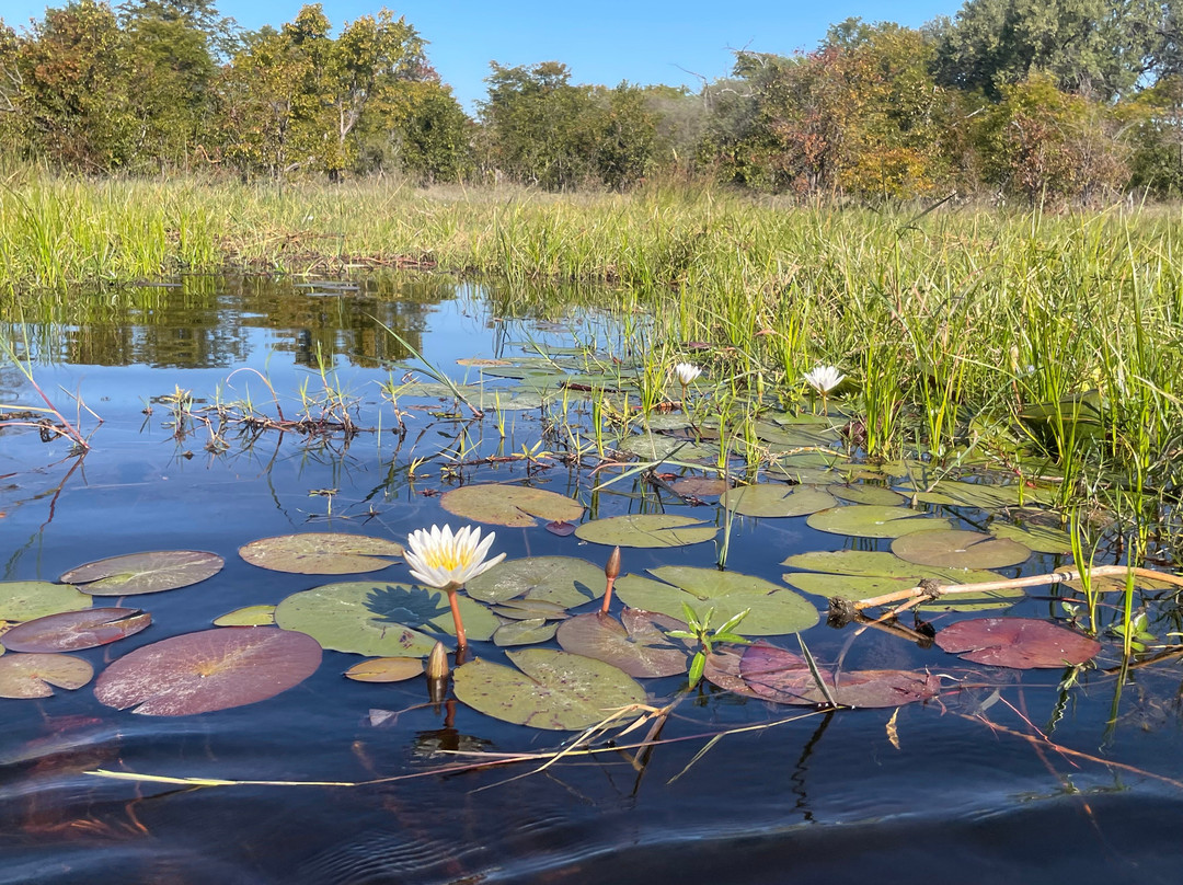 Okavango River-马翁必去景点