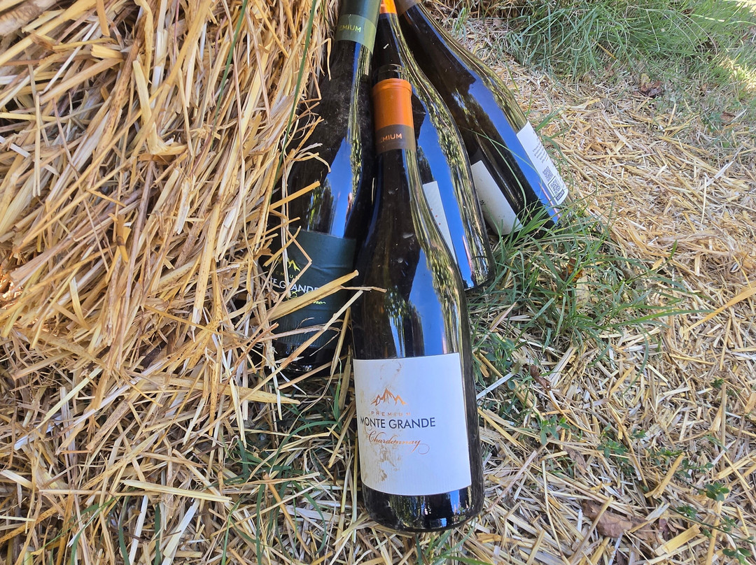 Monte Grande Winery-波德戈里察必去景点