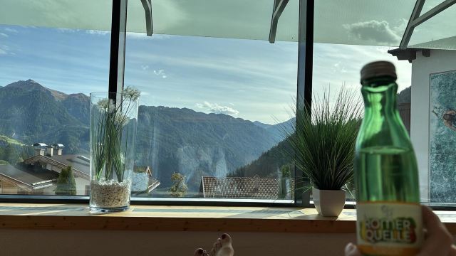 Hotel Löwe - Leading Family Hotel & Resort-泳池