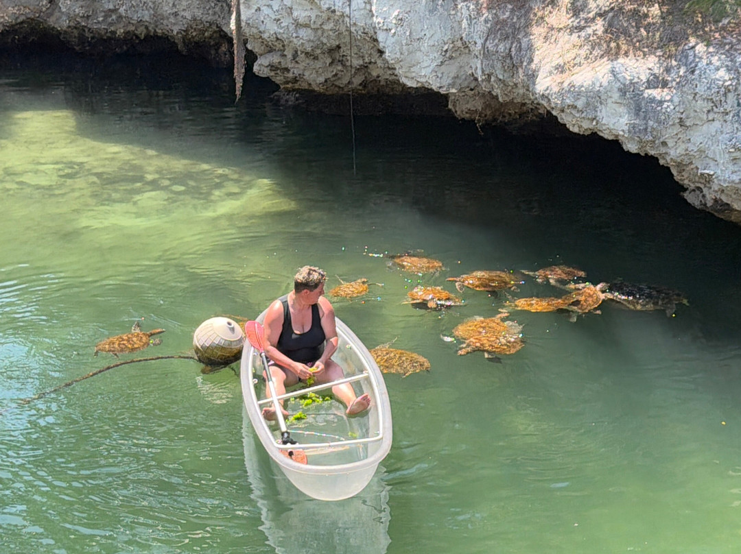 Mnarani Marine Turtles Conservation Pond-孥归必去景点