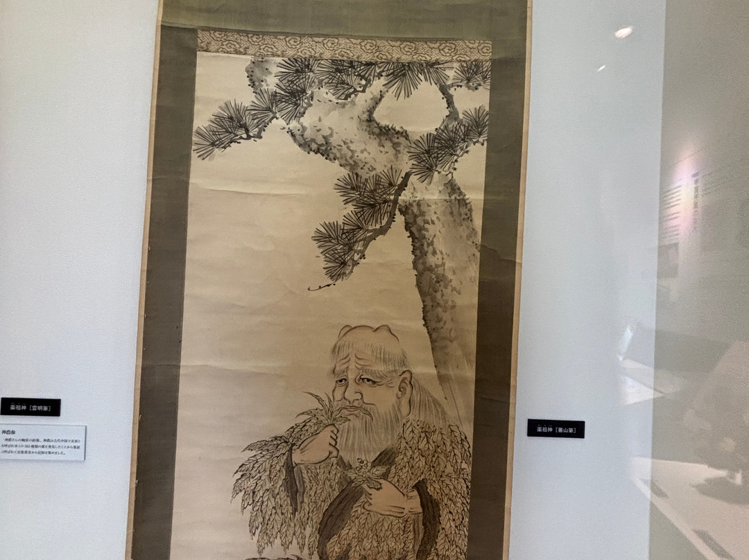 Koka Medicine Museum-甲贺市必去景点