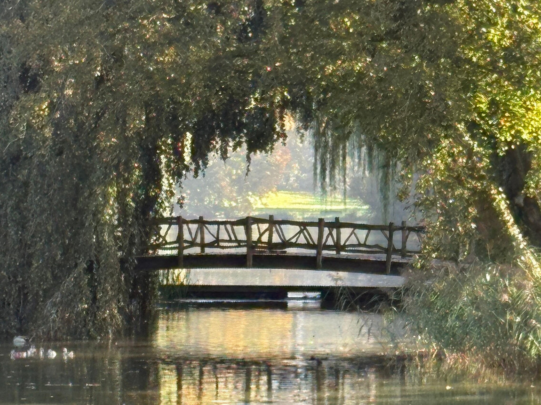 Dutch Tours-Diemen必去景点