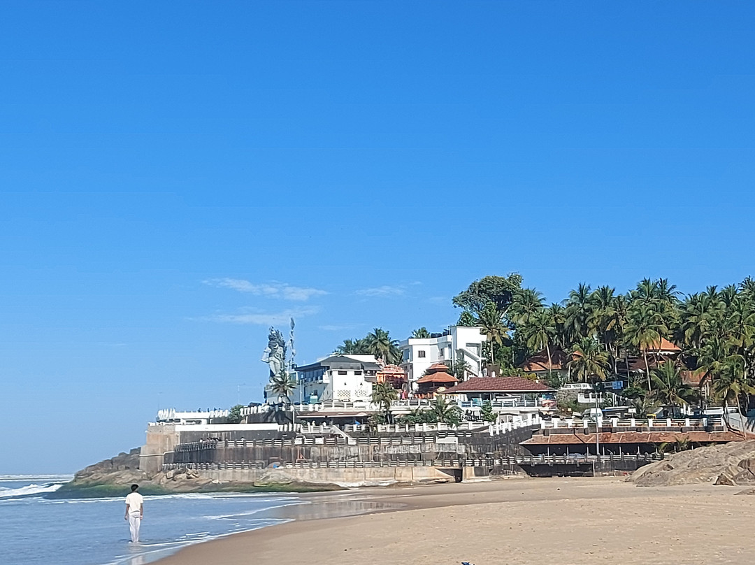 AyurSoma Ayurveda Royal Retreat主图