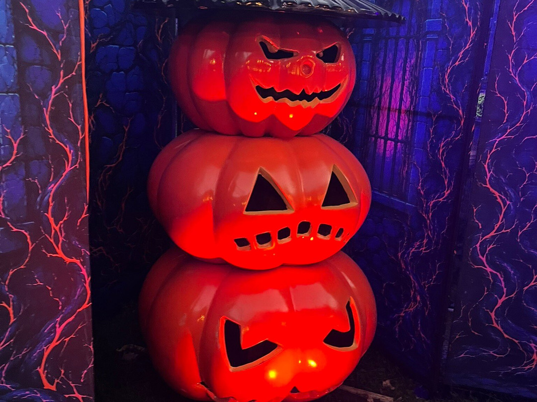 Pumpkins after dark-万锦市必去景点