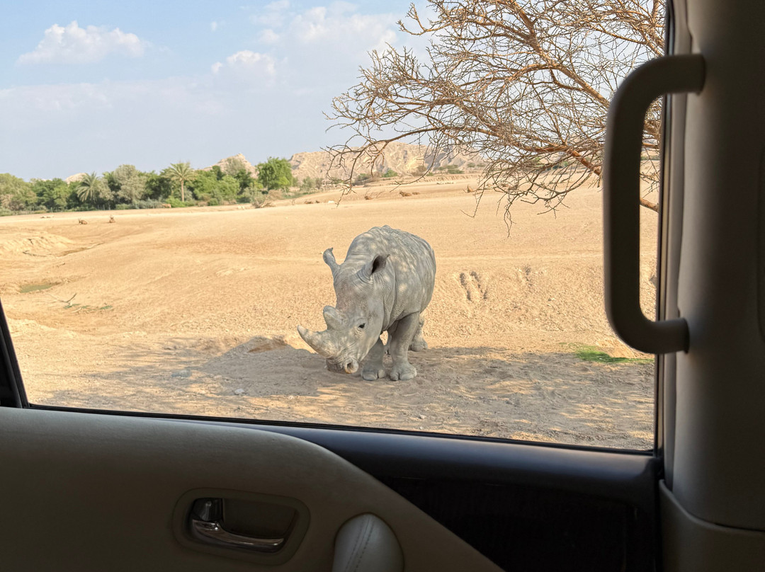 Al Ain Zoo 2017 2018 2019-艾因市必去景点