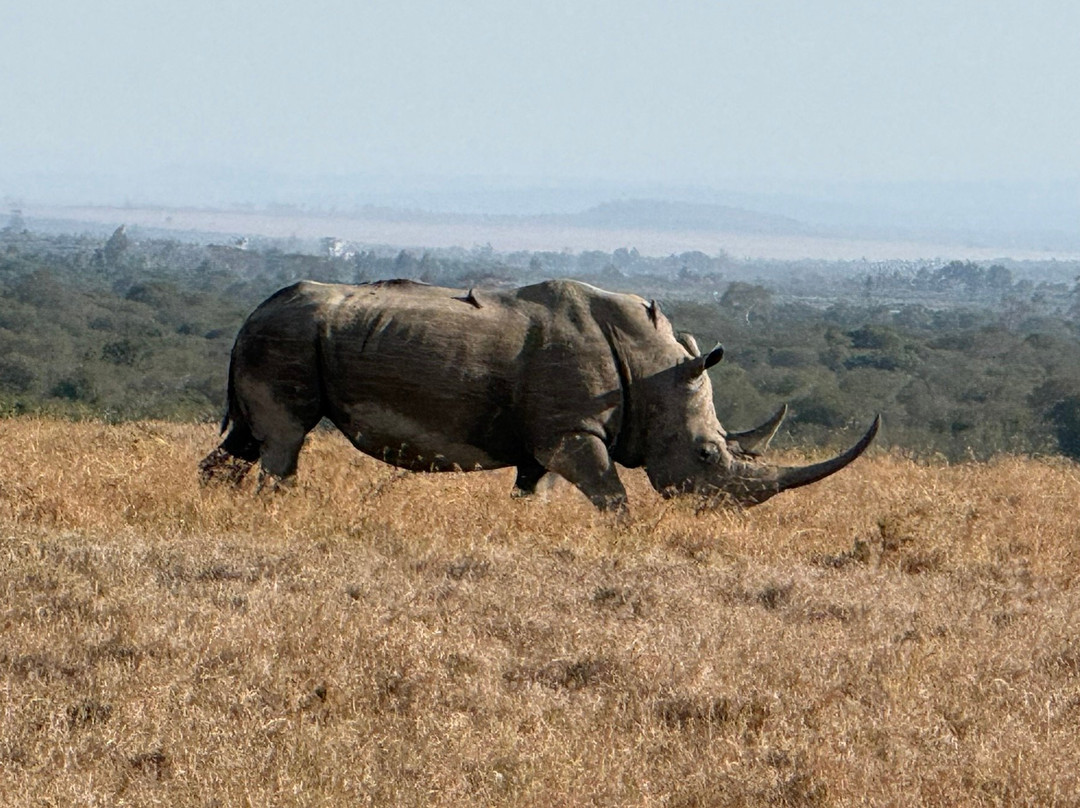 Explorer Kenya-内罗毕必去景点